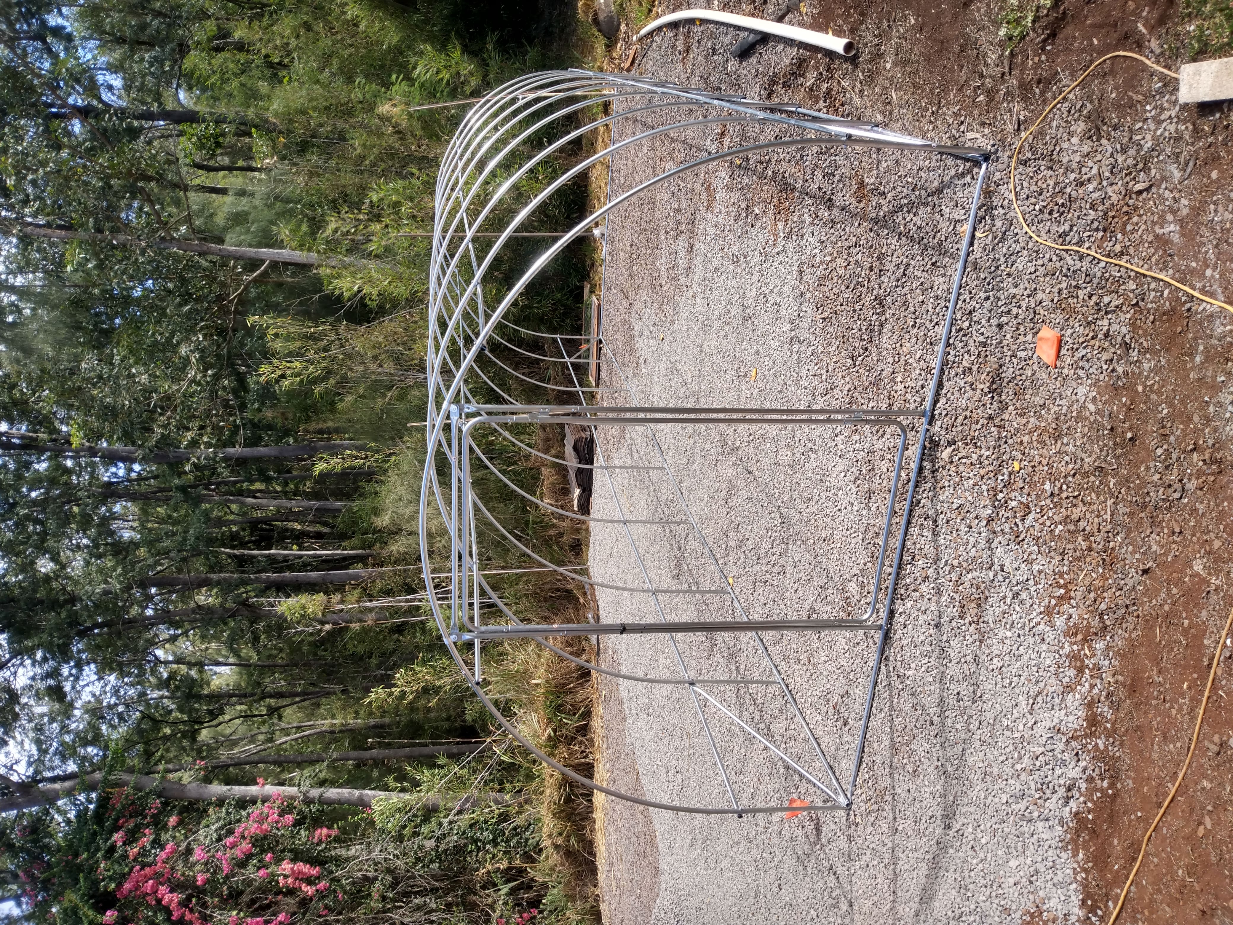 Local food security program 2