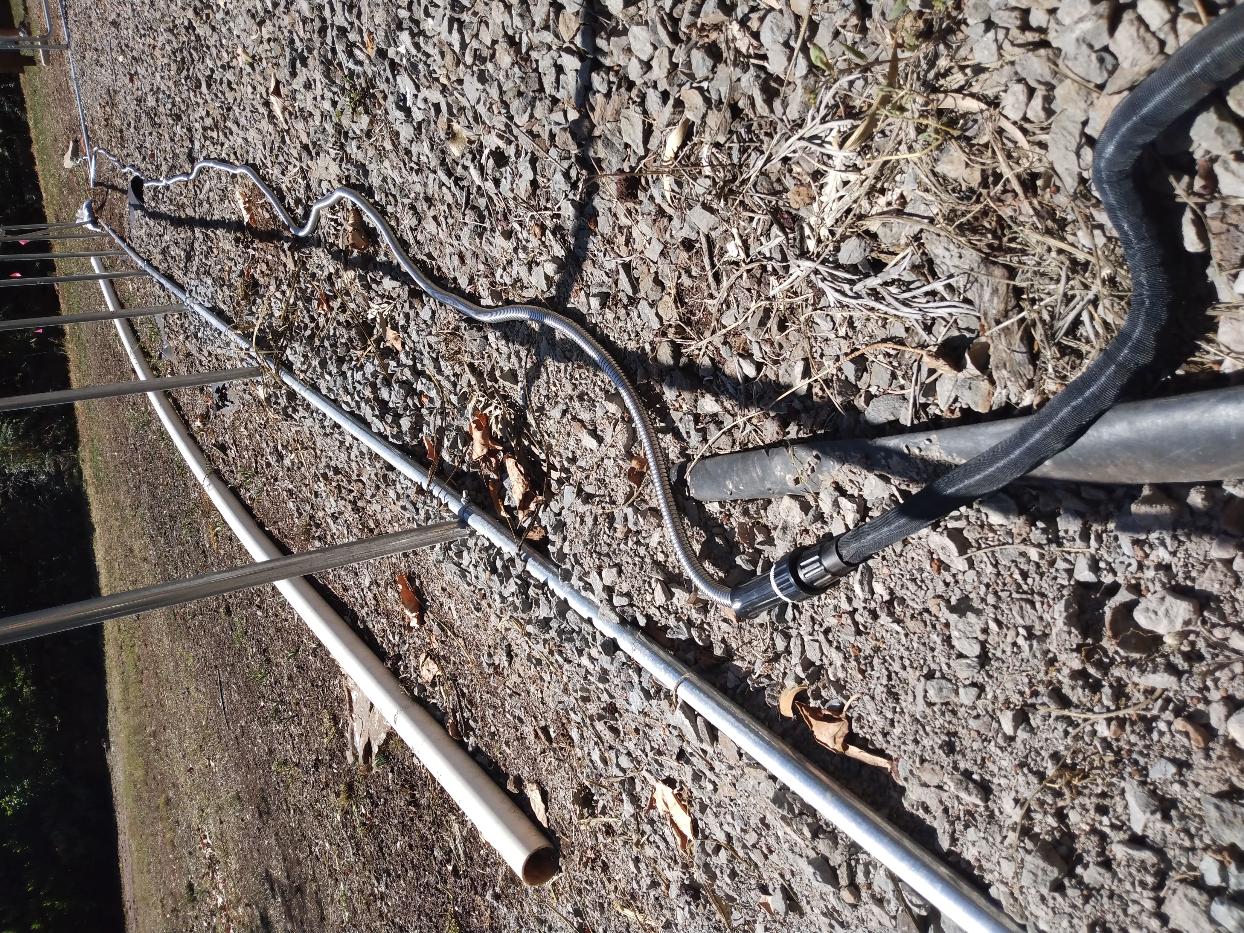 Local food security program 4